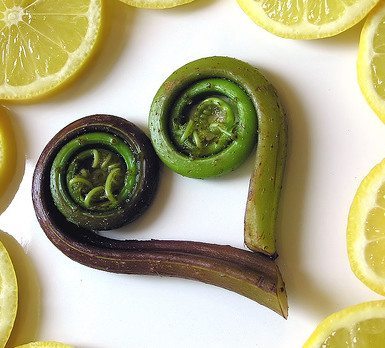 5 Spring Pacific Northwest Foods Not to Miss!