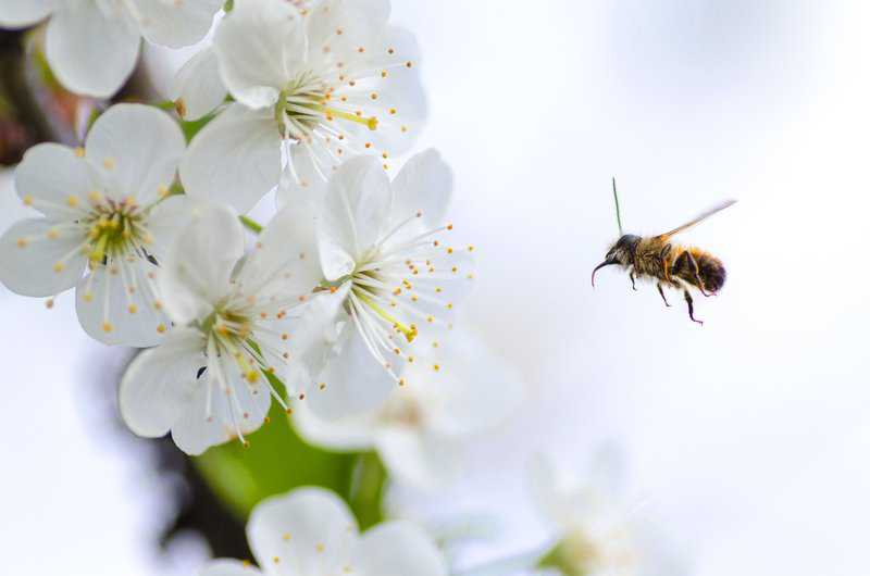 Could Allergies Make My Teeth Sore?
